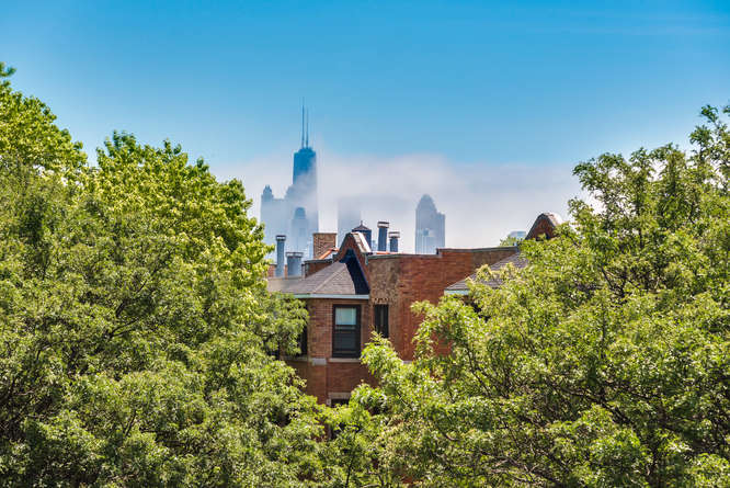 1544 N Hoyne Ave Unit 3, Chicago, IL 60622 view