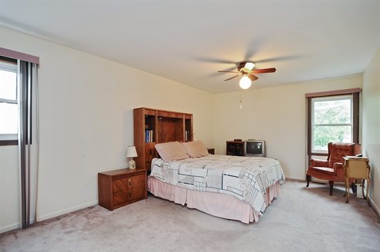 740 Chaucer Way, Buffalo Grove, IL 60089 master bedroom
